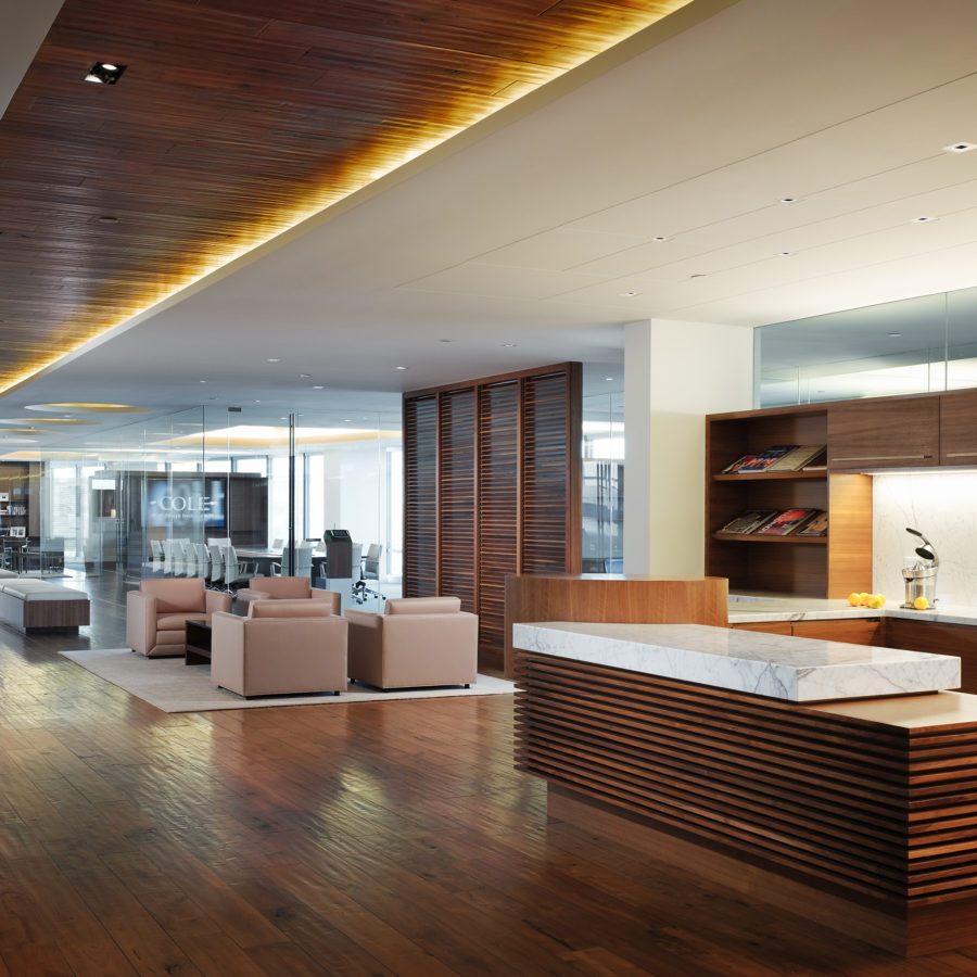 Cole Real Estate Investments StevensLeinweber