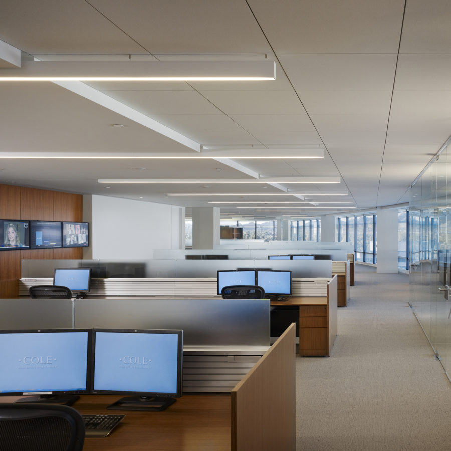 Cole Real Estate Investments StevensLeinweber